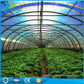 transparent uv pc sheet greenhouse covering with china factory